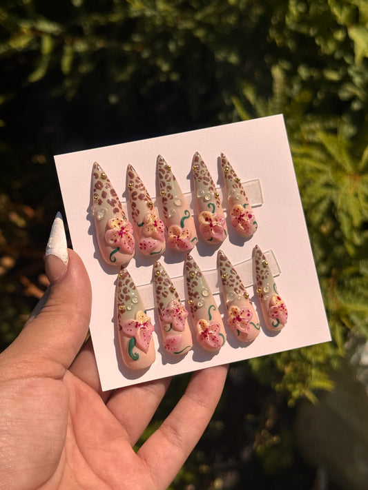 Orchids in the Rain Forest